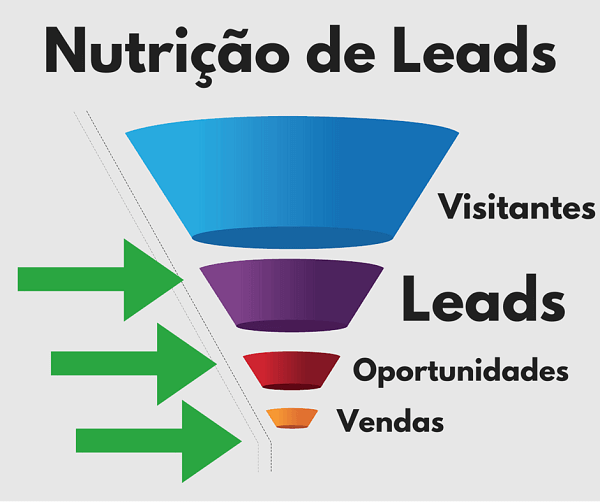 nutrição de lead e qualificação